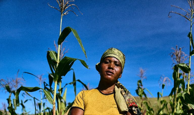 image de Gilbertine, agricultrice, debout fièrement dans son champs de maïs