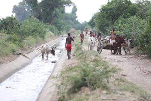 nouveau canal d'irrigation réhabilité par le Programme DEFIS à Behara