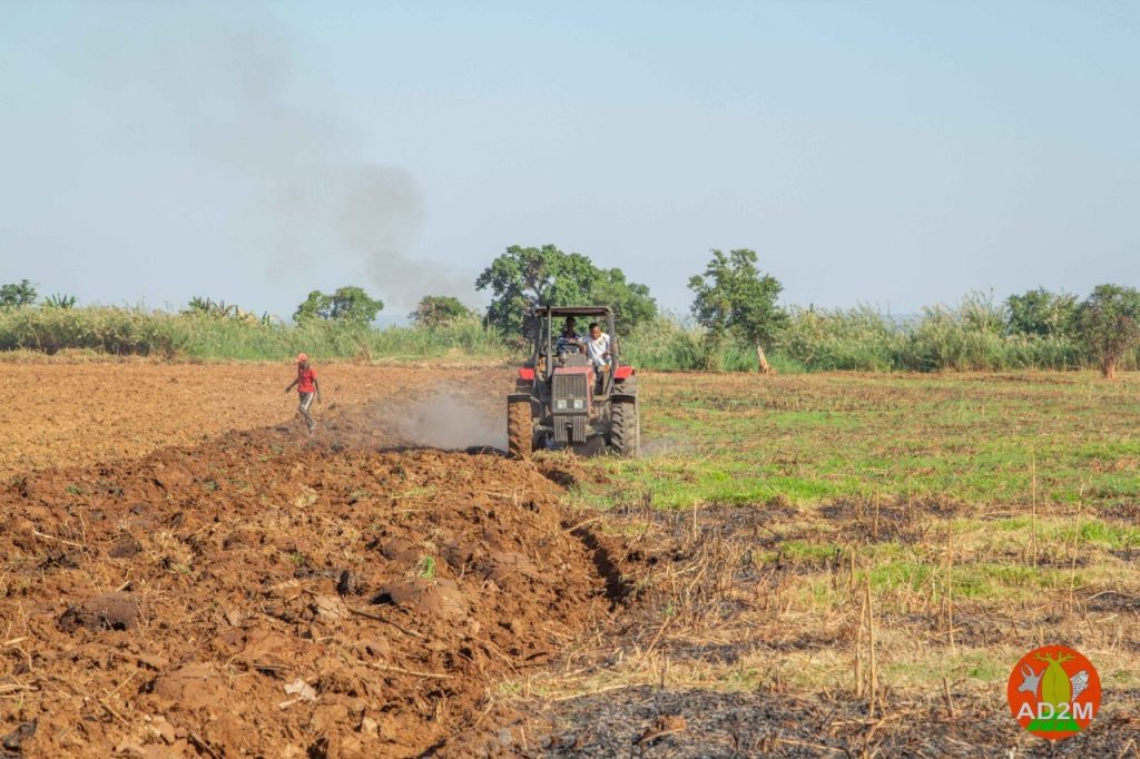 Agriculture dans le projet AD2M