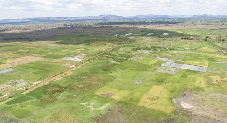 Vondrove - le projet AD2M