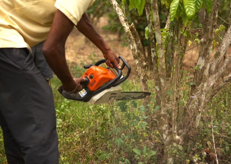 recepage de café par un producteur dans le sud est, avec l'appui du programme DEFIS