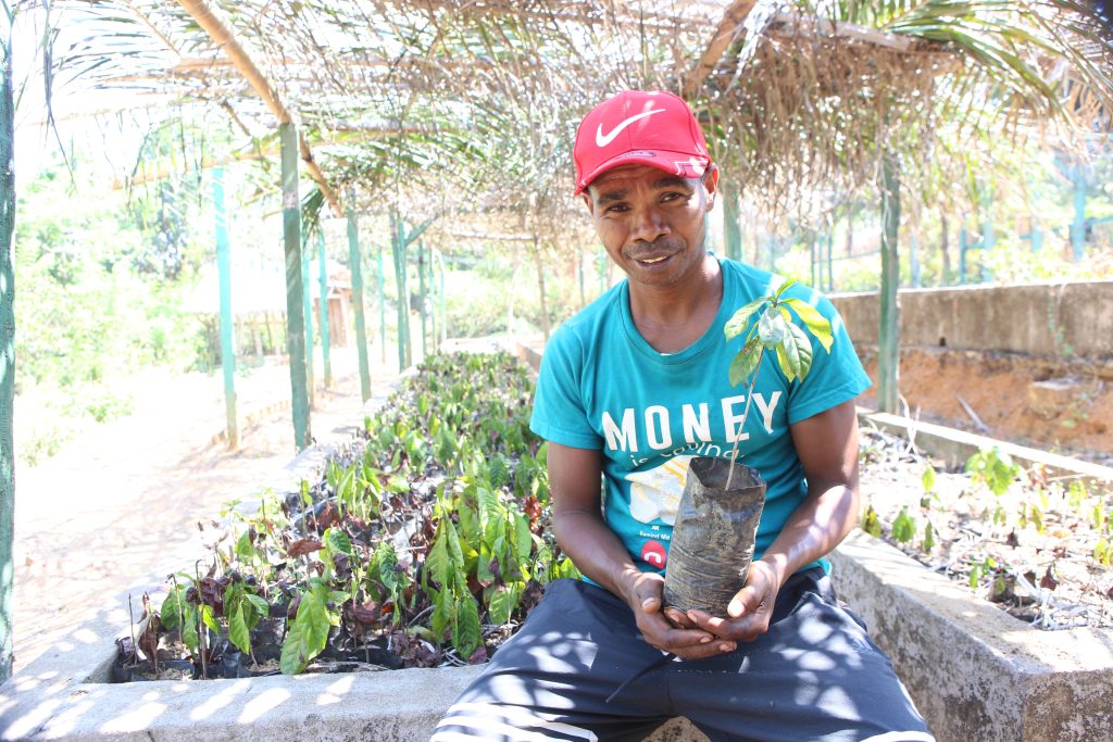 Photo de Dominique, pépiniériste en plants de café à Mitanty Ouest, région Fitovinany, appuyé par le Programme DEFIS