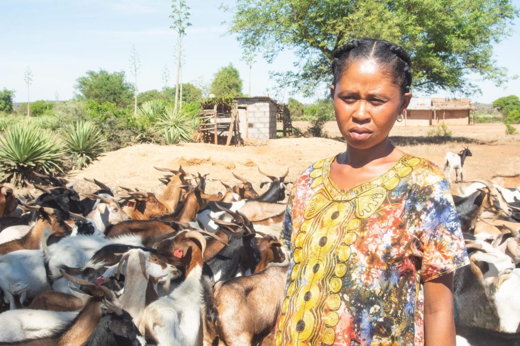 Tema, eleveuse de brebis dans le grand sud de Madagascar